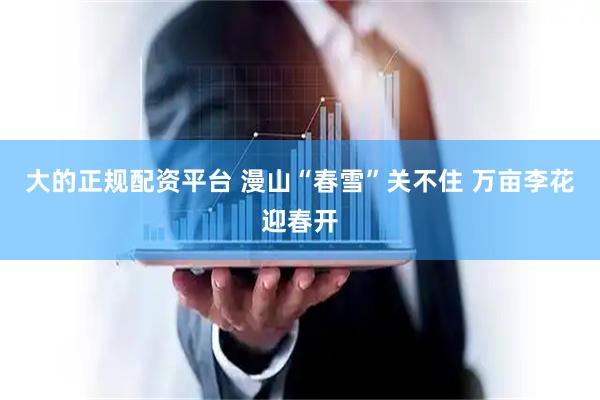 大的正规配资平台 漫山“春雪”关不住 万亩李花迎春开